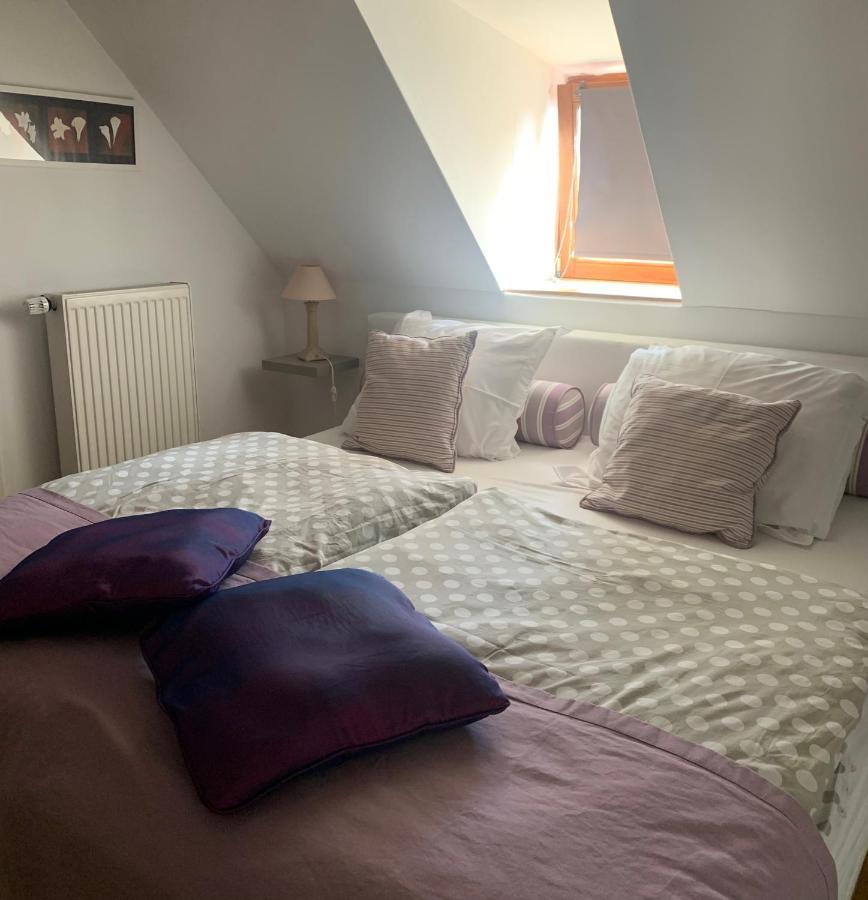 Gite - Chez Josephine Dambach Exterior foto